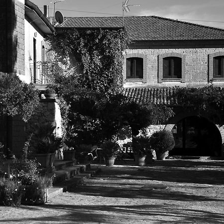 Hotel La Caveja à Pietravairano Extérieur photo
